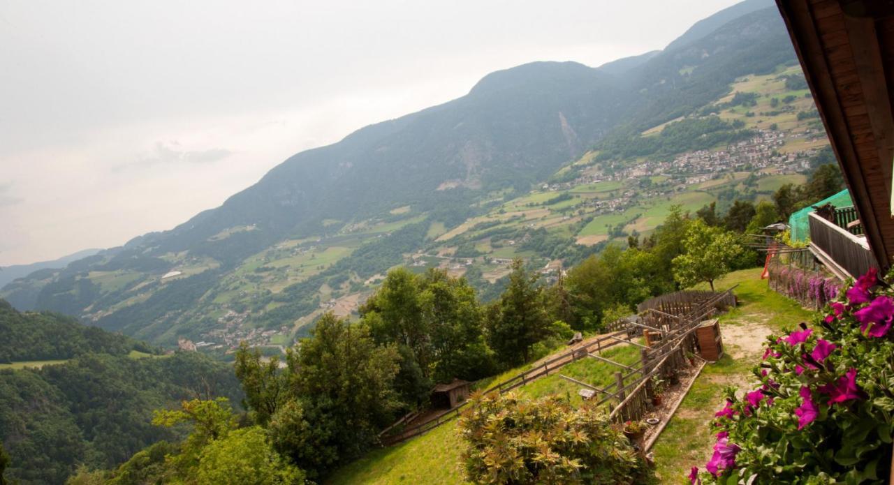 Ausservogelweiderhof Laion Dış mekan fotoğraf