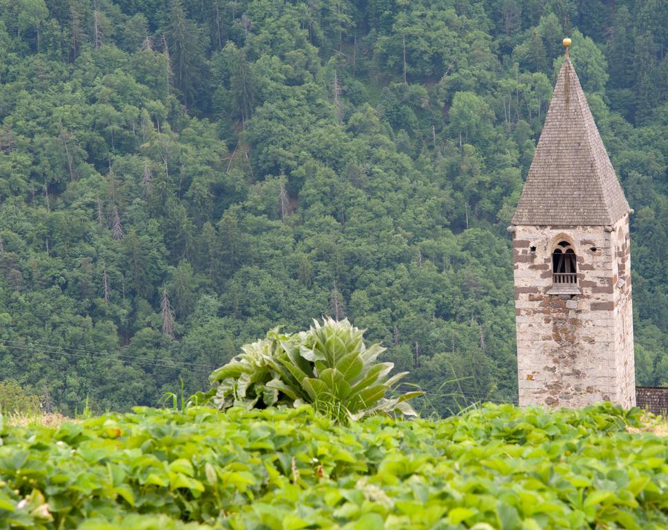 Ausservogelweiderhof Laion Dış mekan fotoğraf