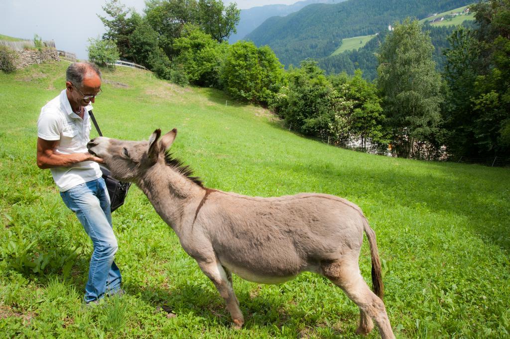 Ausservogelweiderhof Laion Dış mekan fotoğraf