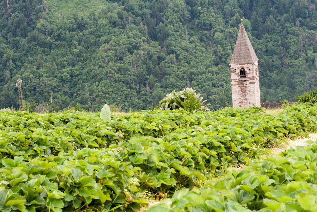 Ausservogelweiderhof Laion Dış mekan fotoğraf